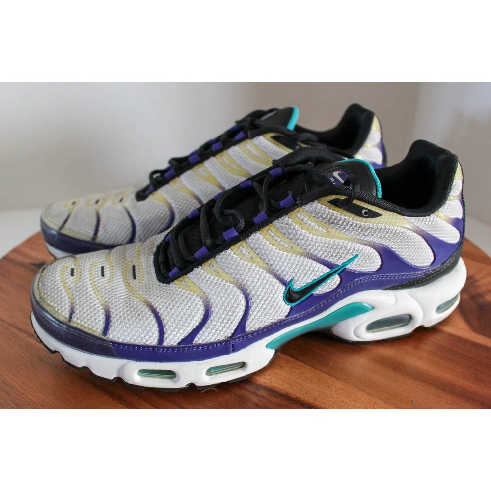 Nike Sneakers Mens 11 Air Max Plus White Grape Ice Lace Up Shoes DM0032-100